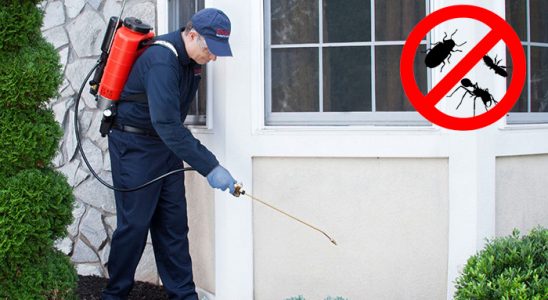 Karaisalı Dezenfeksiyon böcek ilaçlama ve haşere kontrolü — ilaclama-tr.com